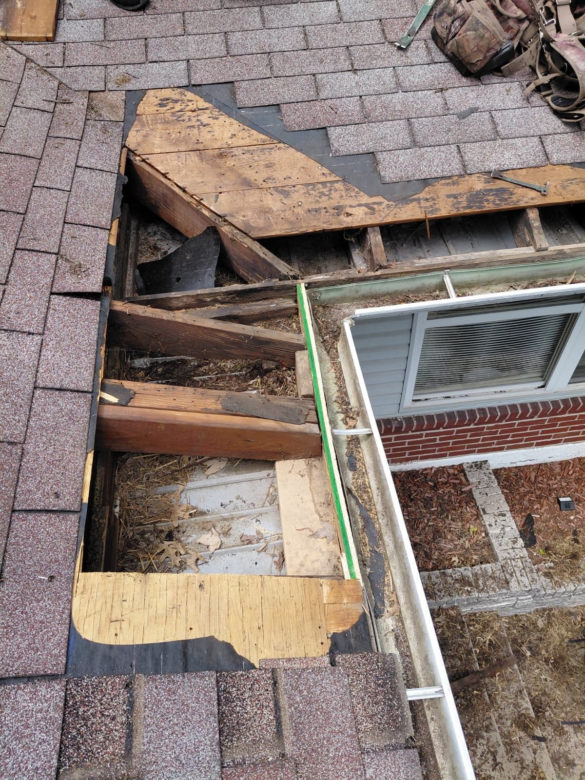 Mold remediation in progress in a Saint Louis attic