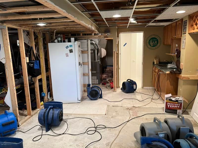 ABC St. Louis professional water dry out