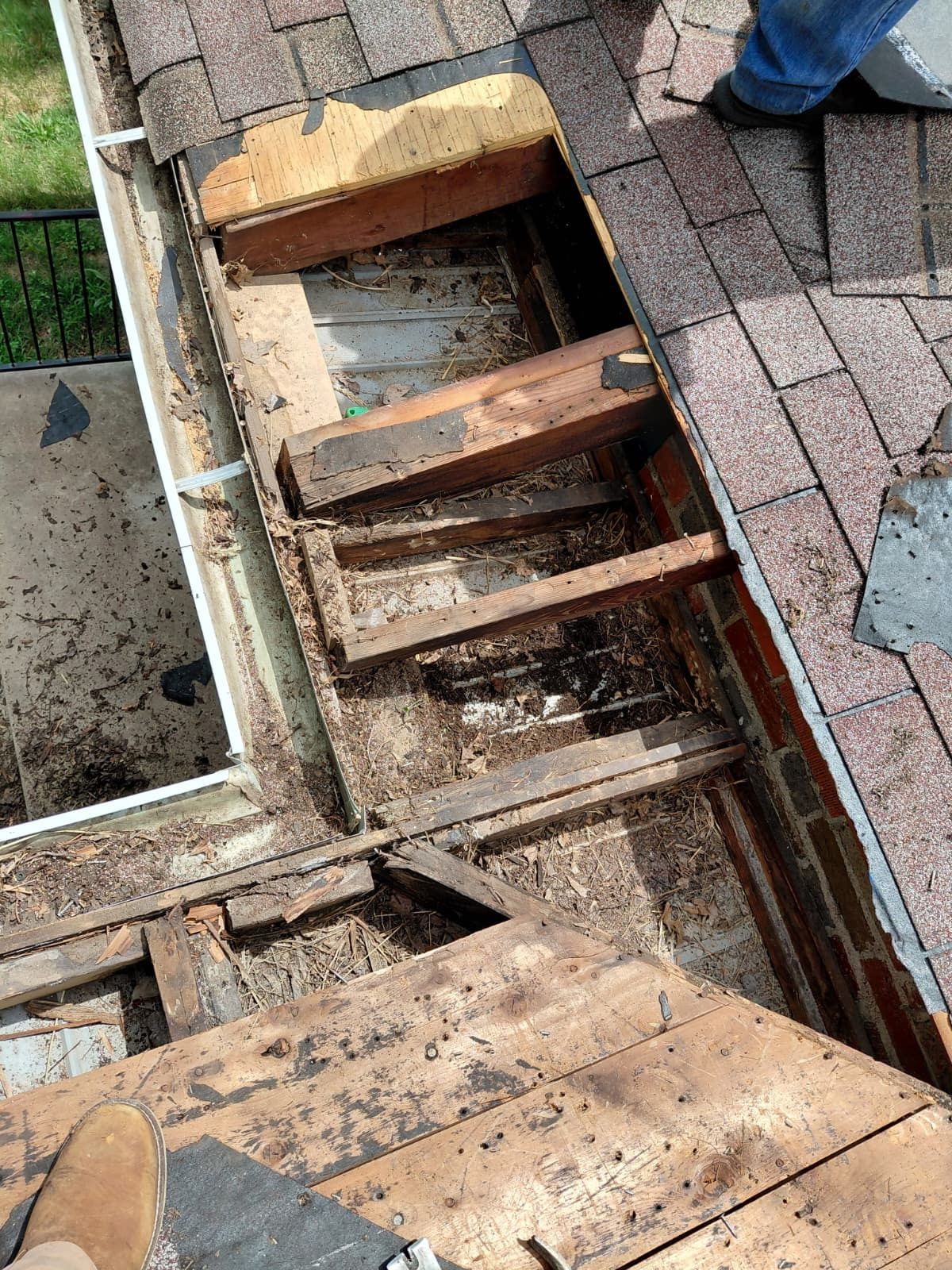 Roof inspection and repair during attic mold remediation in St. Louis