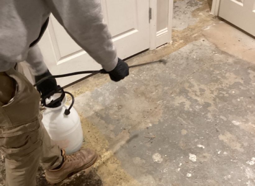 sanitization