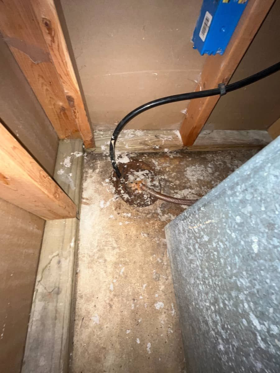 sewage water damage