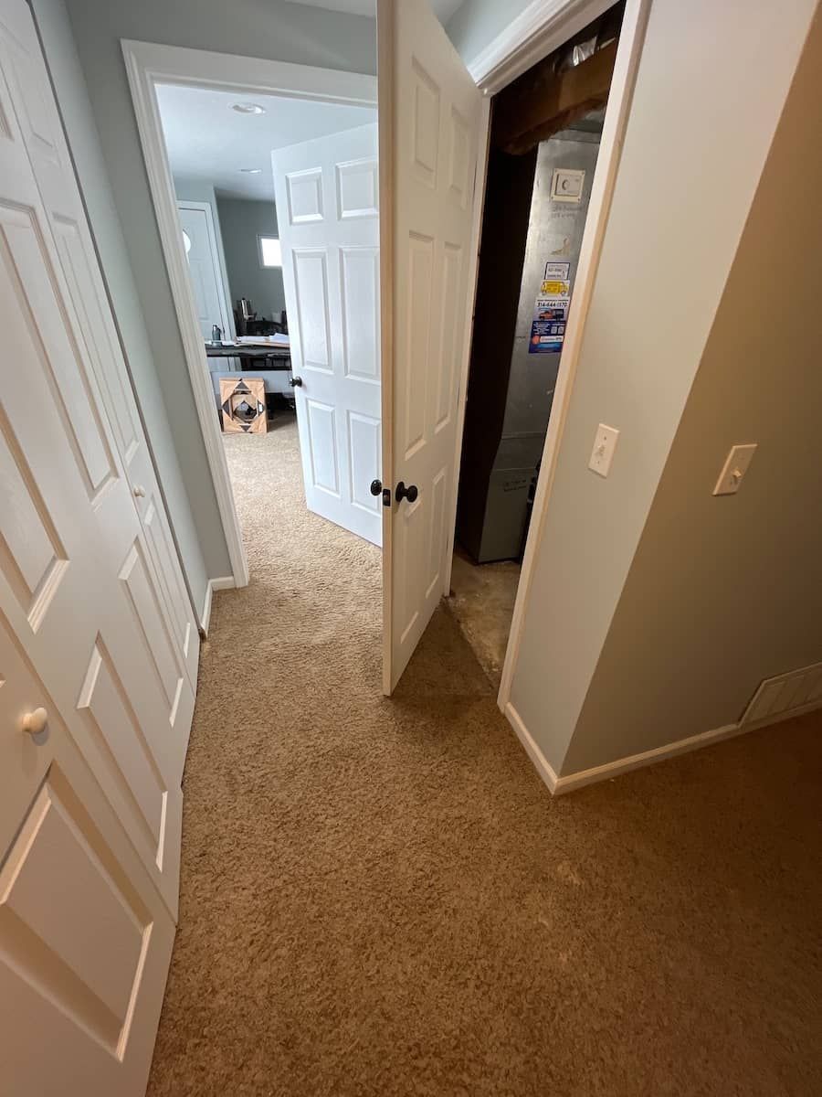 water damage carpet