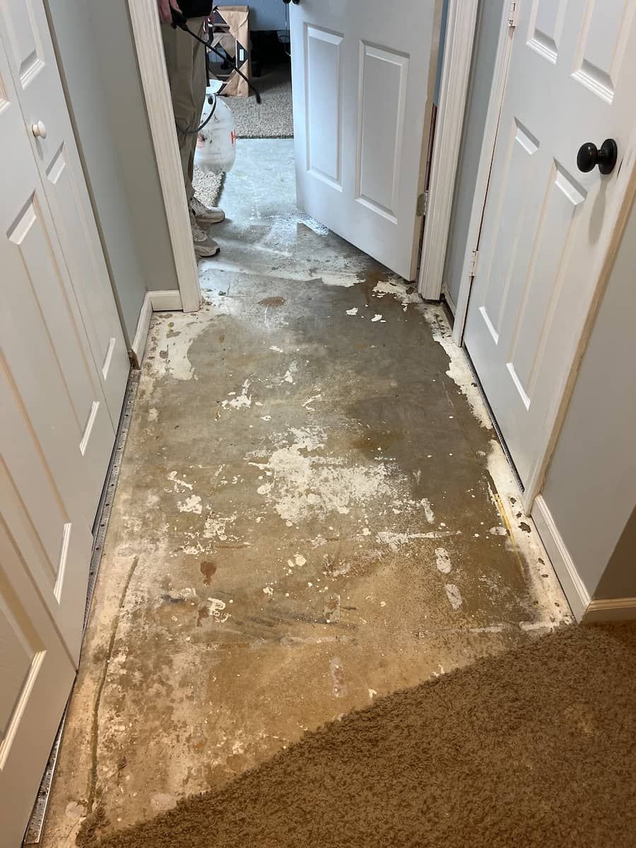 water damage floor due to sewage leak