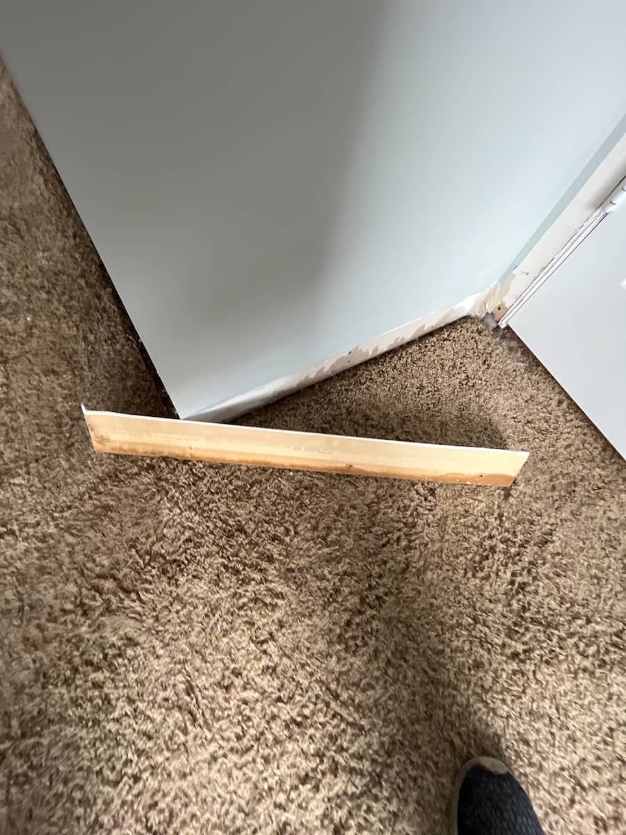 water damaged carpet