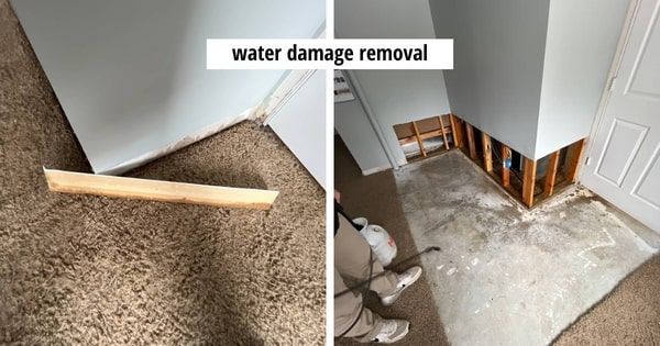 Sewage Cleanup