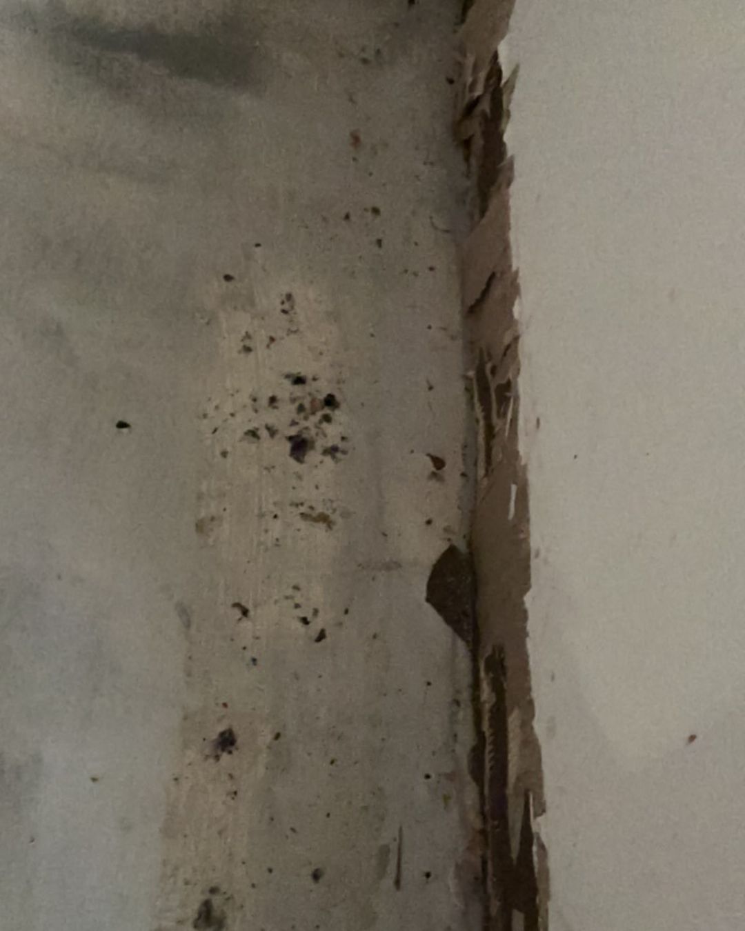 Wall material deterioration from water exposure