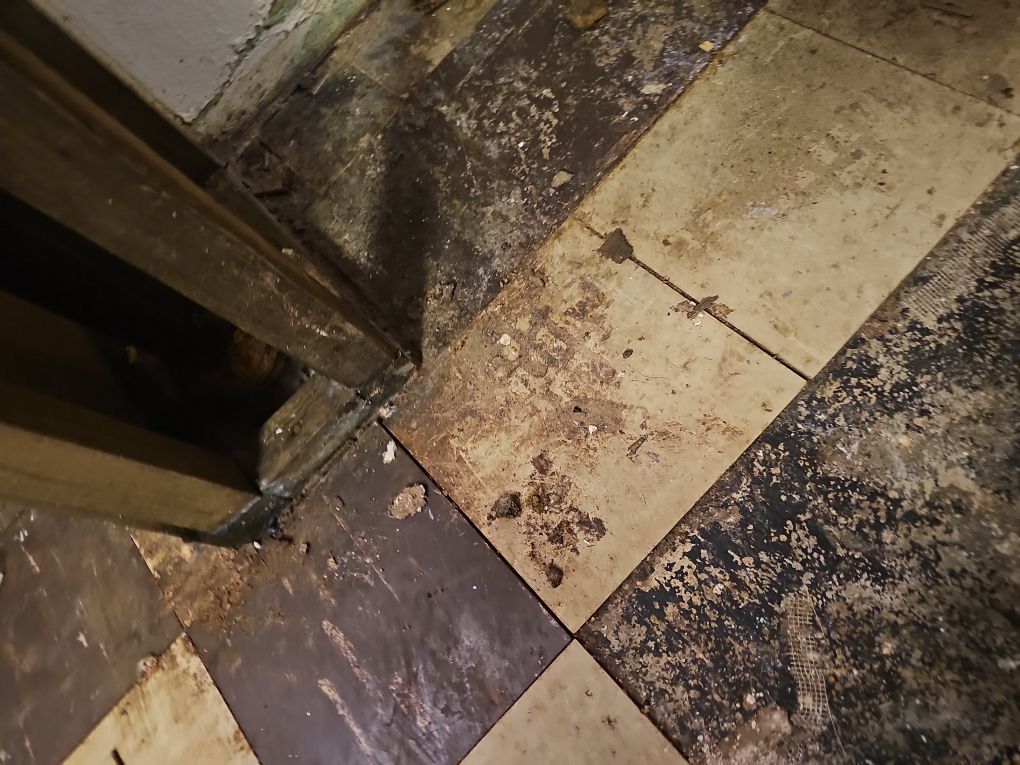 Visible water damage across a residential basement wall and floor in Florissant MO