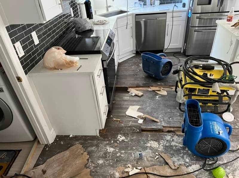 water damage dry out in st. louis, mo home