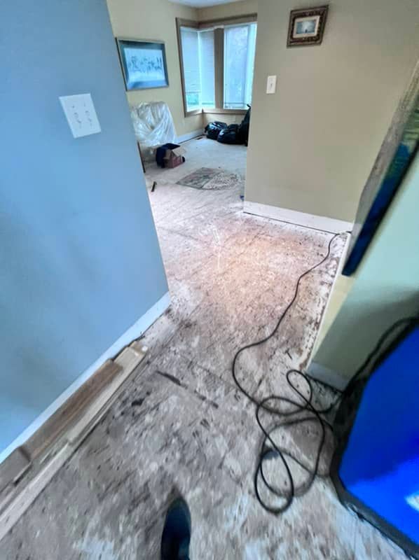 water damage flooring removal