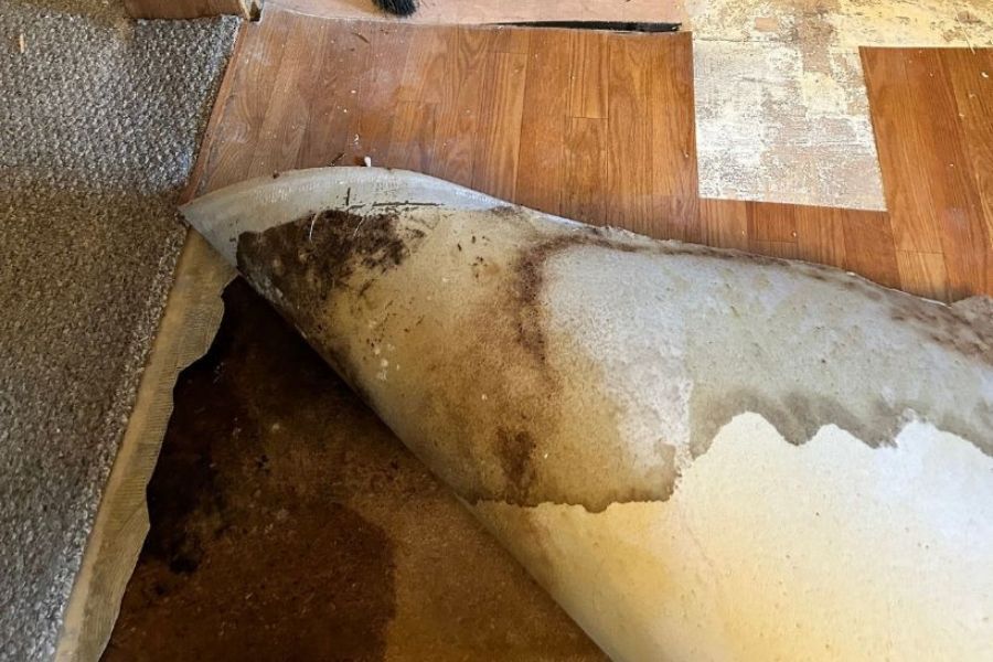 Water pooling under flooring in a home showing recurring moisture damage