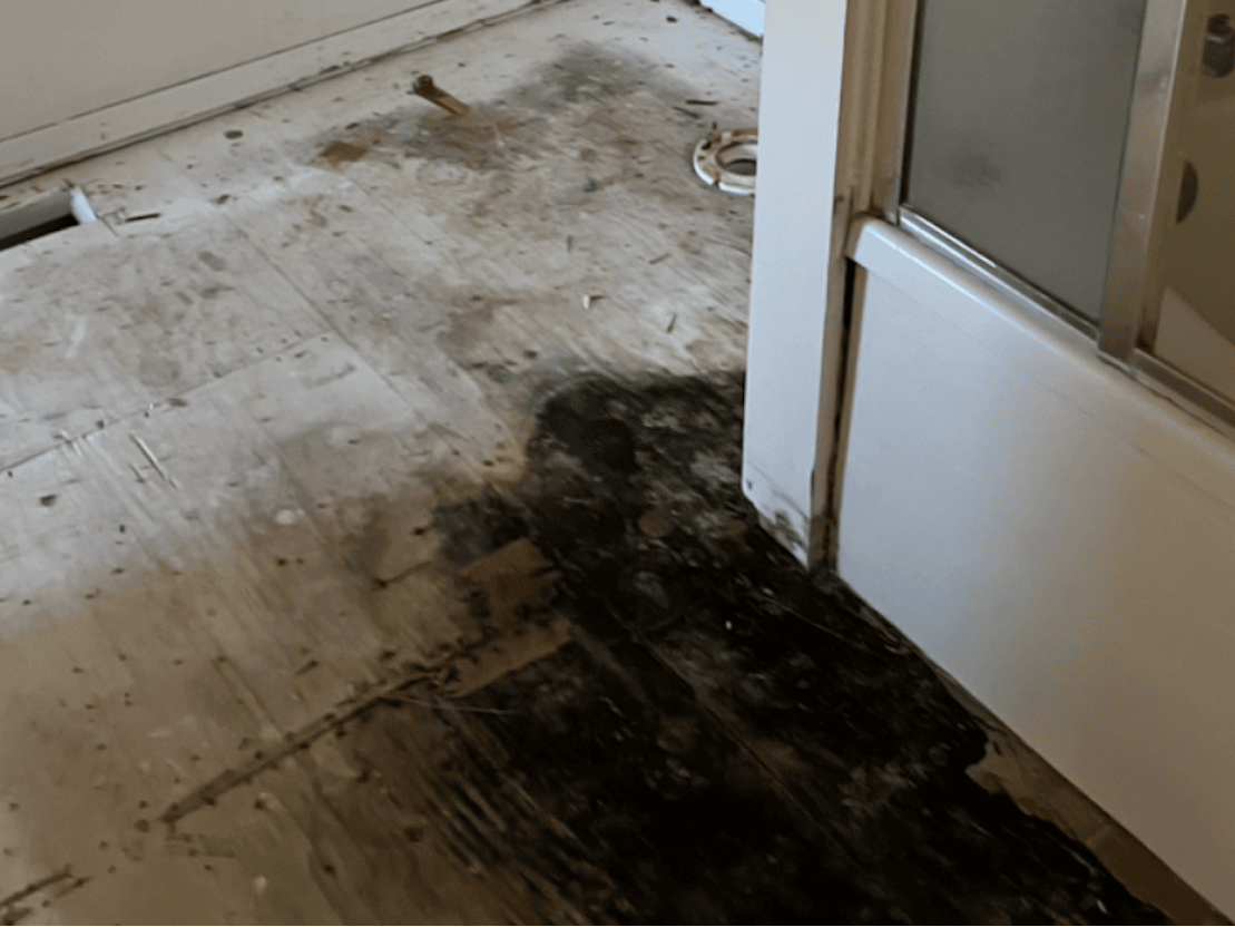 Mold Remediation St Louis