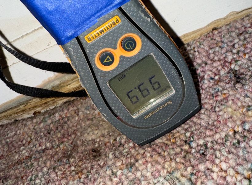 wet carpet reading