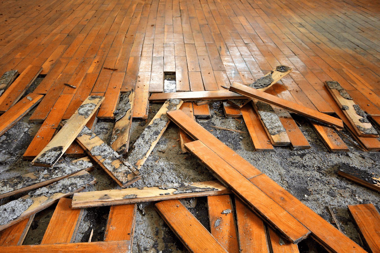 Water Damage Restoration St Louis MO