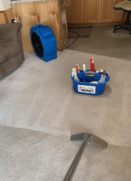 Living room carpet with a cleaning caddy, blue bag, and vacuum cleaner head in the foreground