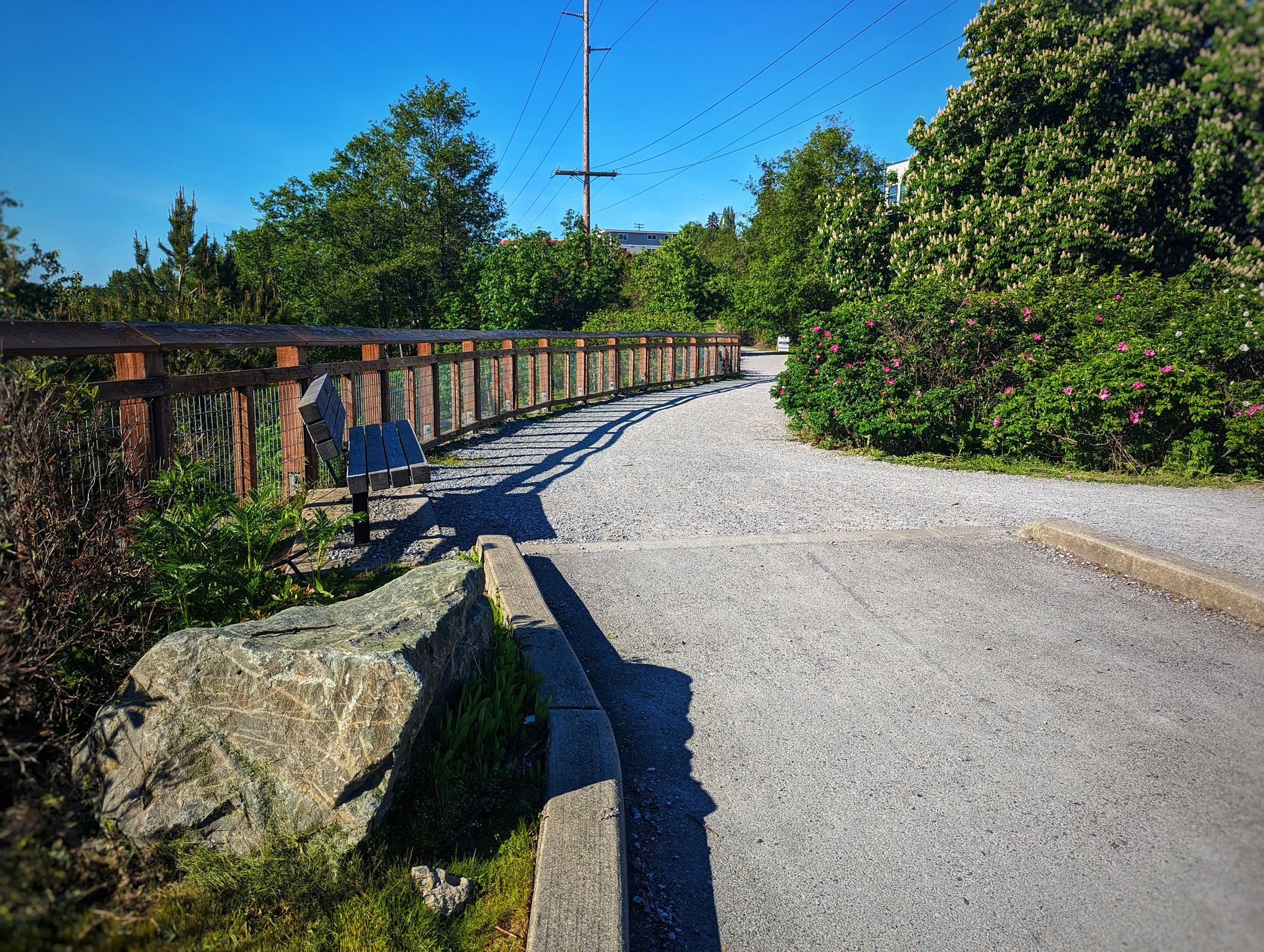 Trail ~ Fairhaven