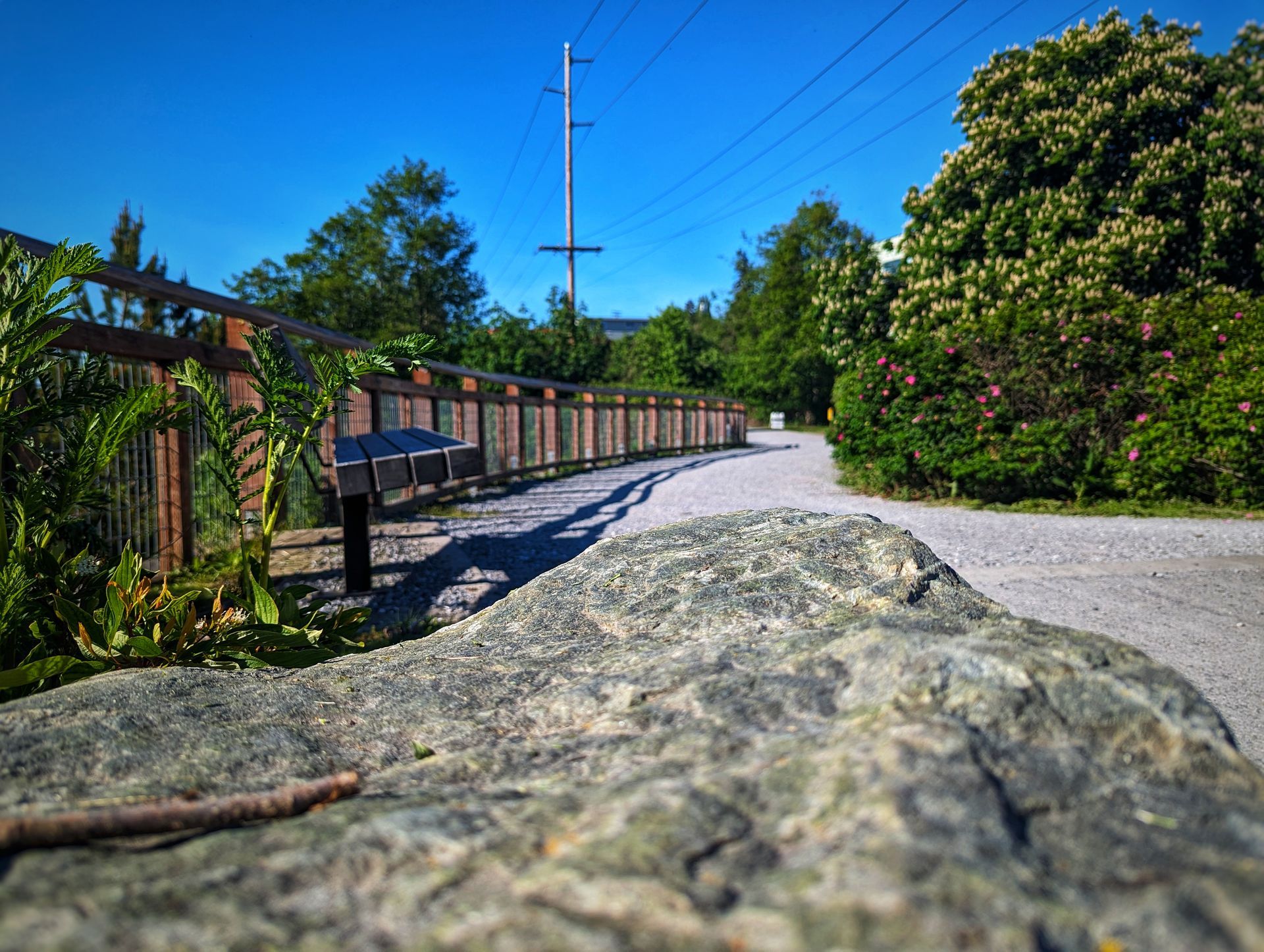 Trail Head ~ Fairhaven
