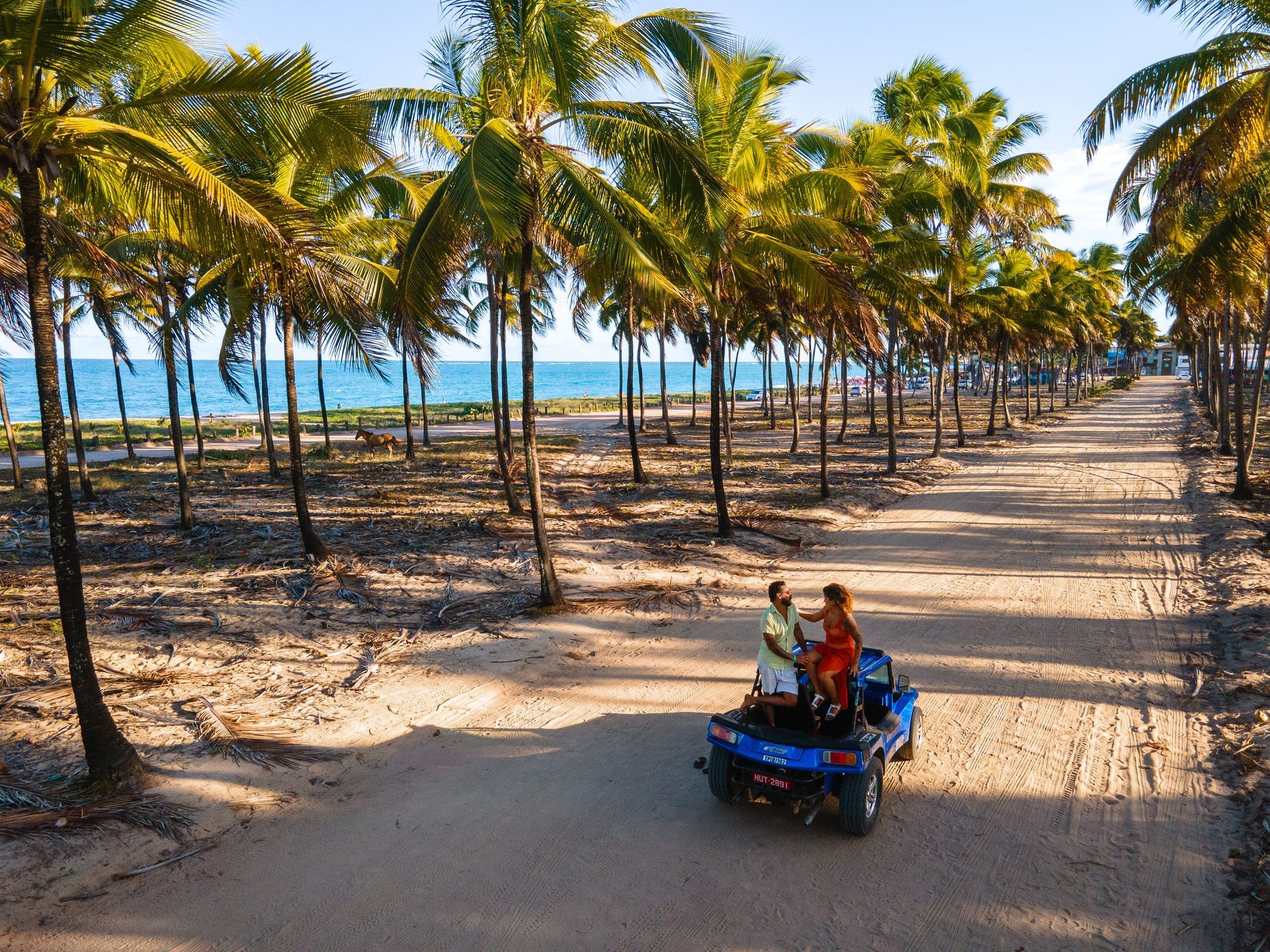 Casal em um buggy azul em estrada de terra cercada por coqueiros, com vista para o mar ao fundo.