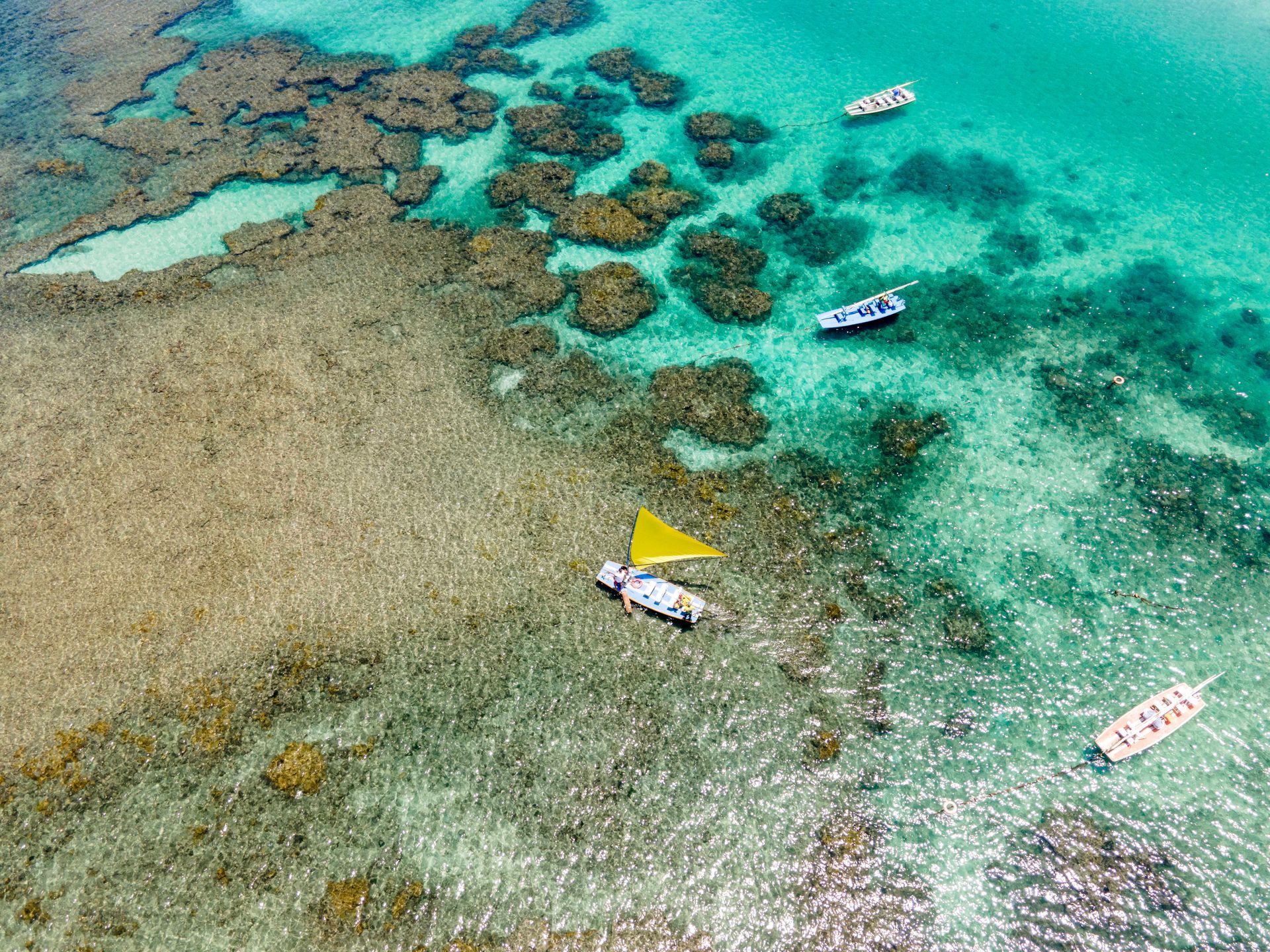 Vista aérea das piscinas naturais de Porto de Galinhas, com águas cristalinas, arrecifes de corais e jangadas durante a maré baixa.