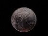 2023 Silver Eagles