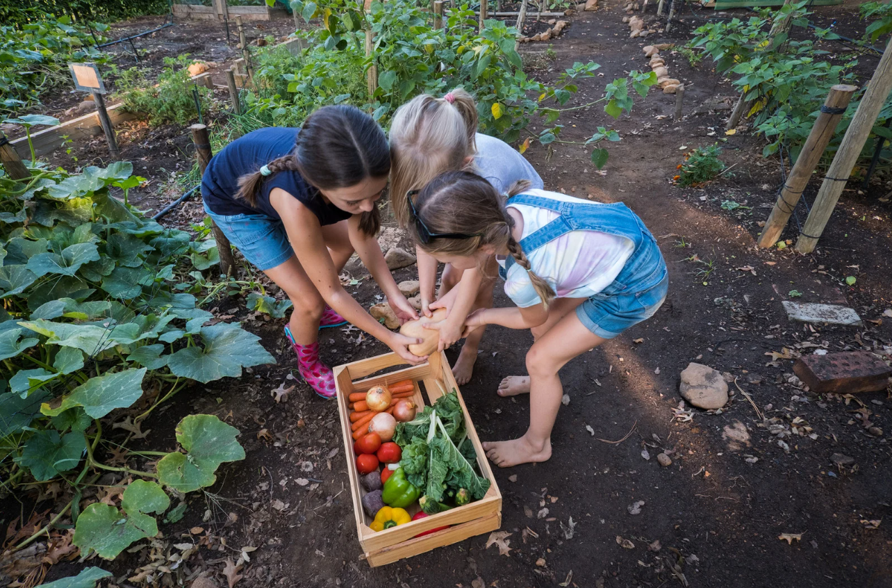 Full Circle Foundation Children Agriculture