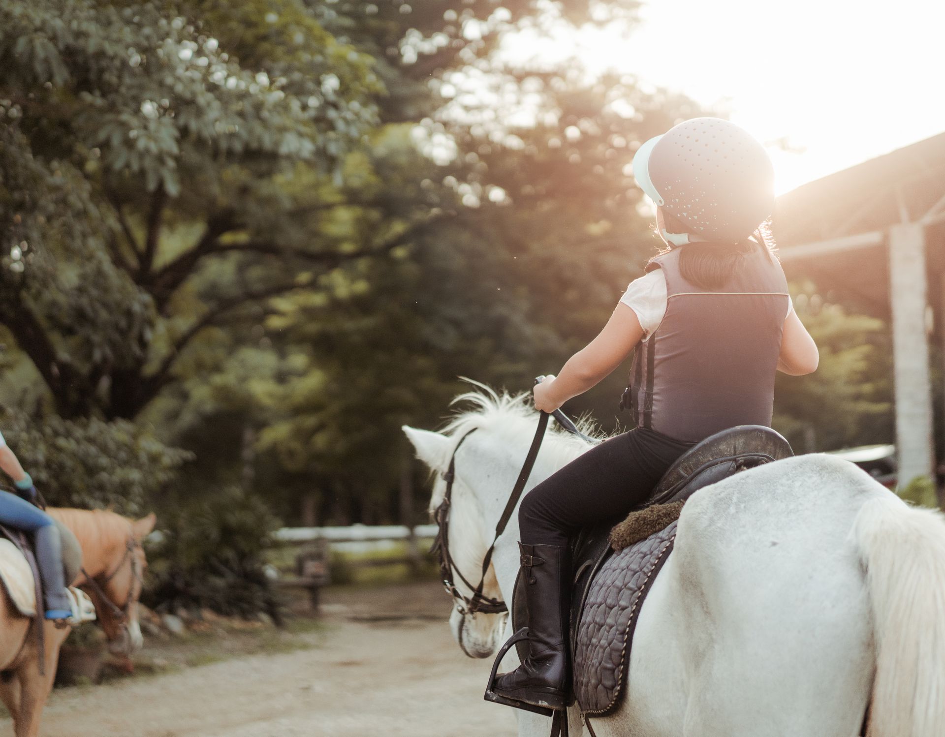 Full Circle Foundation Equine Programs