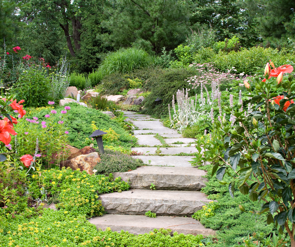 A garden in Vermont with native plants and flowers and a stone pathway.
