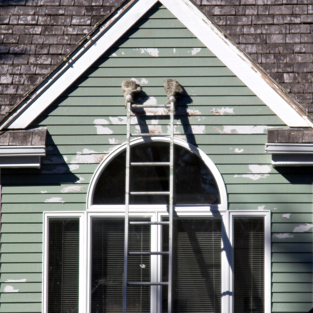Peeling paint on a home's exterior.