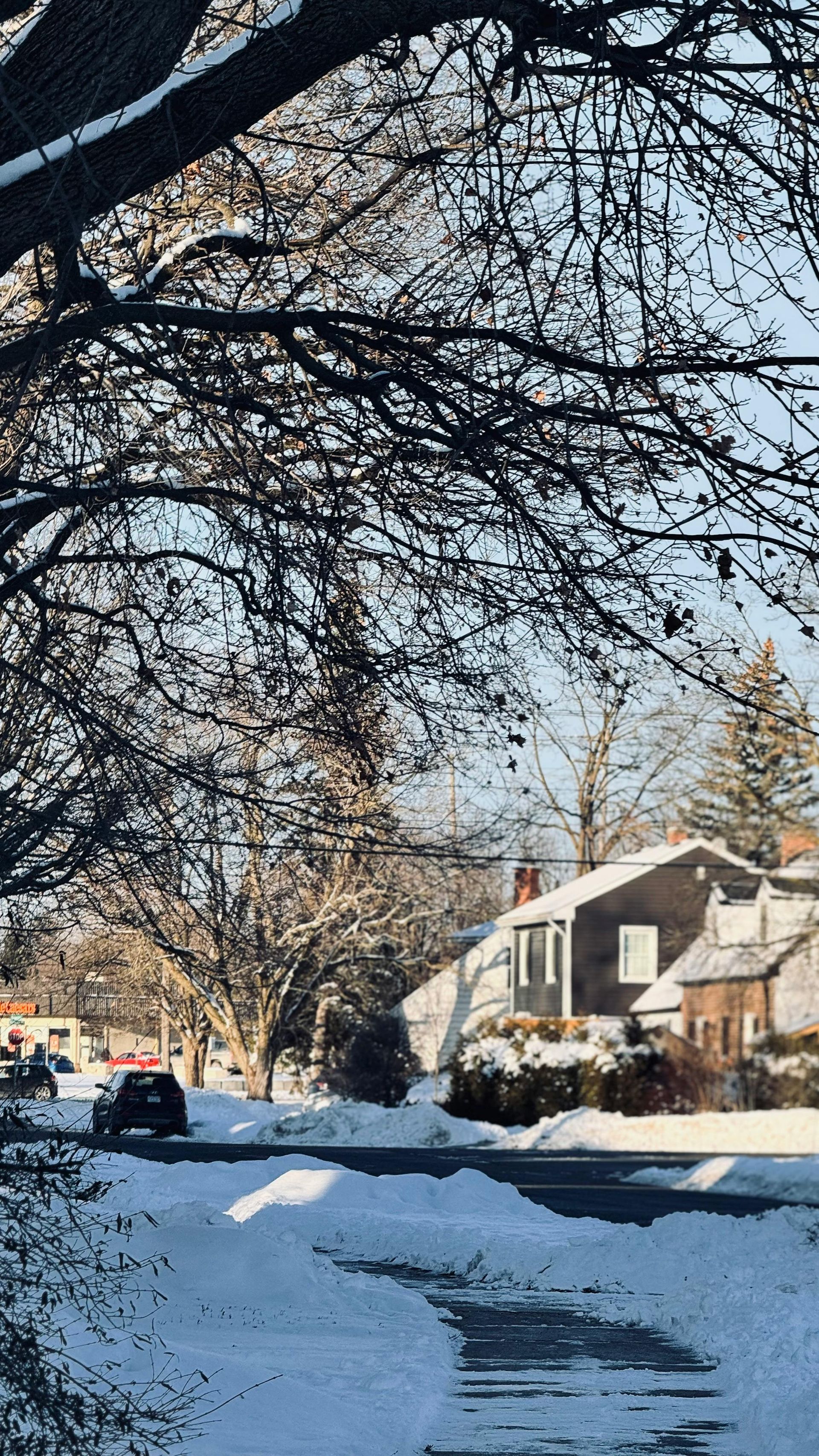 Snowy residential street; houses, trees, and car visible under a clear, bright sky.