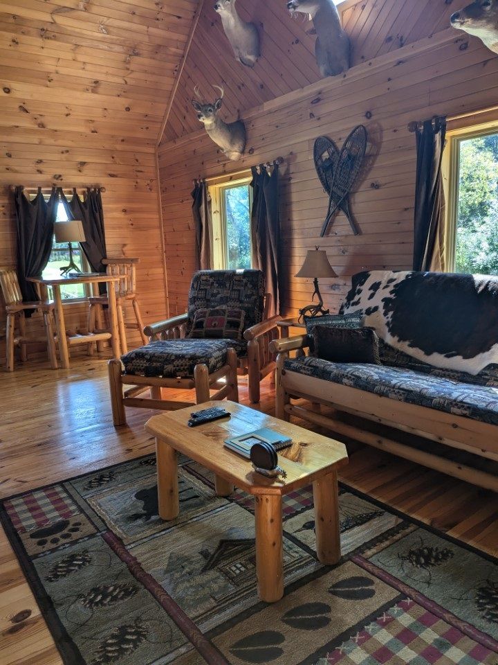 cozy cabin 2