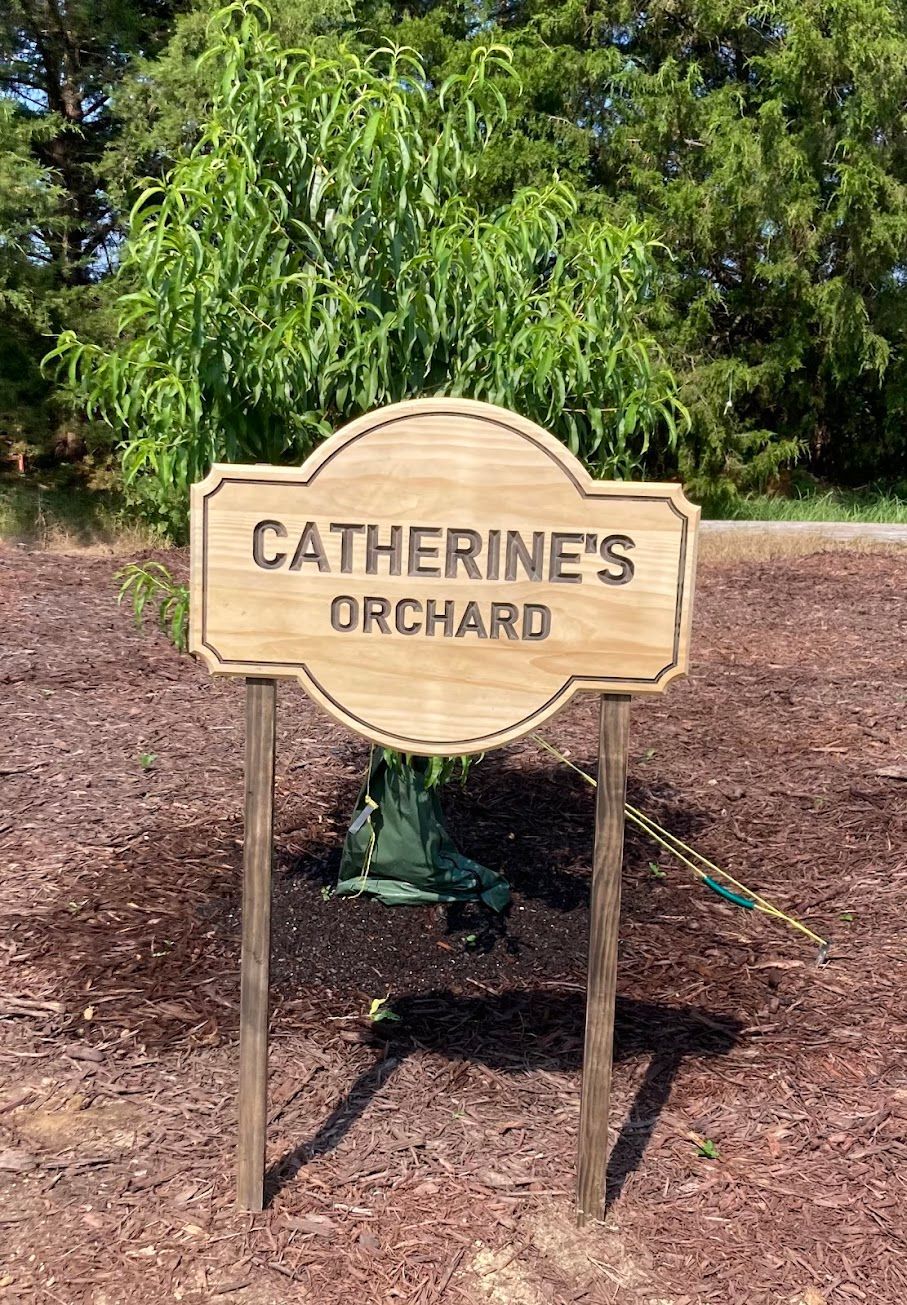 Sign reading “Catherine’s Orchard” beside a young tree in a dirt orchard grove.