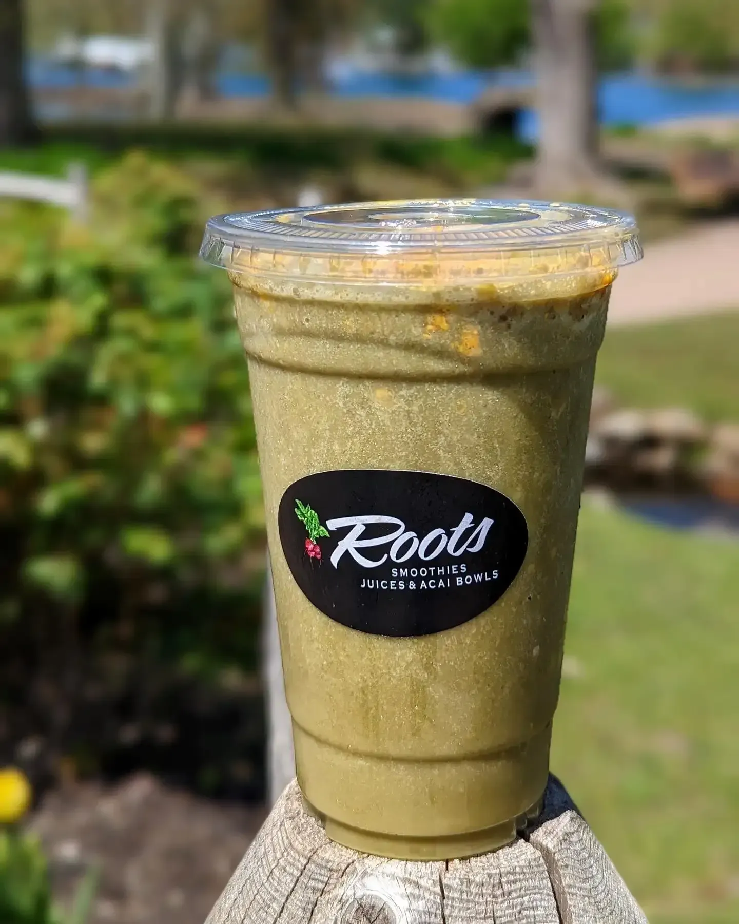 Green smoothie in a clear cup from Roots Smoothies Juices & Acai Bowls outdoors
