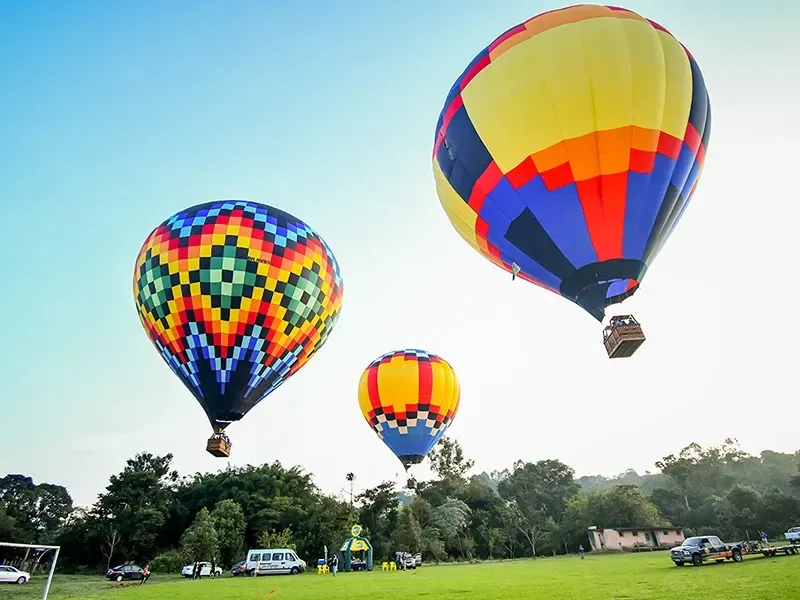 Em um dia ensolarado, três balões de ar quente coloridos flutuam sobre um campo gramado perto de uma fileira de árvores.
