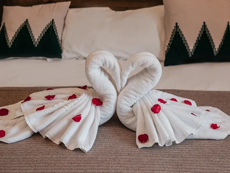 Dois cisnes de toalha branca, um de frente para o outro, sobre uma cama decorada com pétalas de rosas vermelhas, tendo como fundo uma pilha de almofadas.