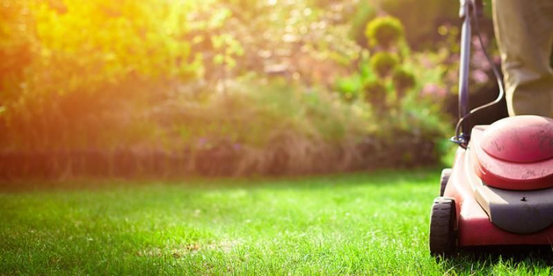 THE PERKS OF WINTERIZING YOUR LAWN FOR FALL