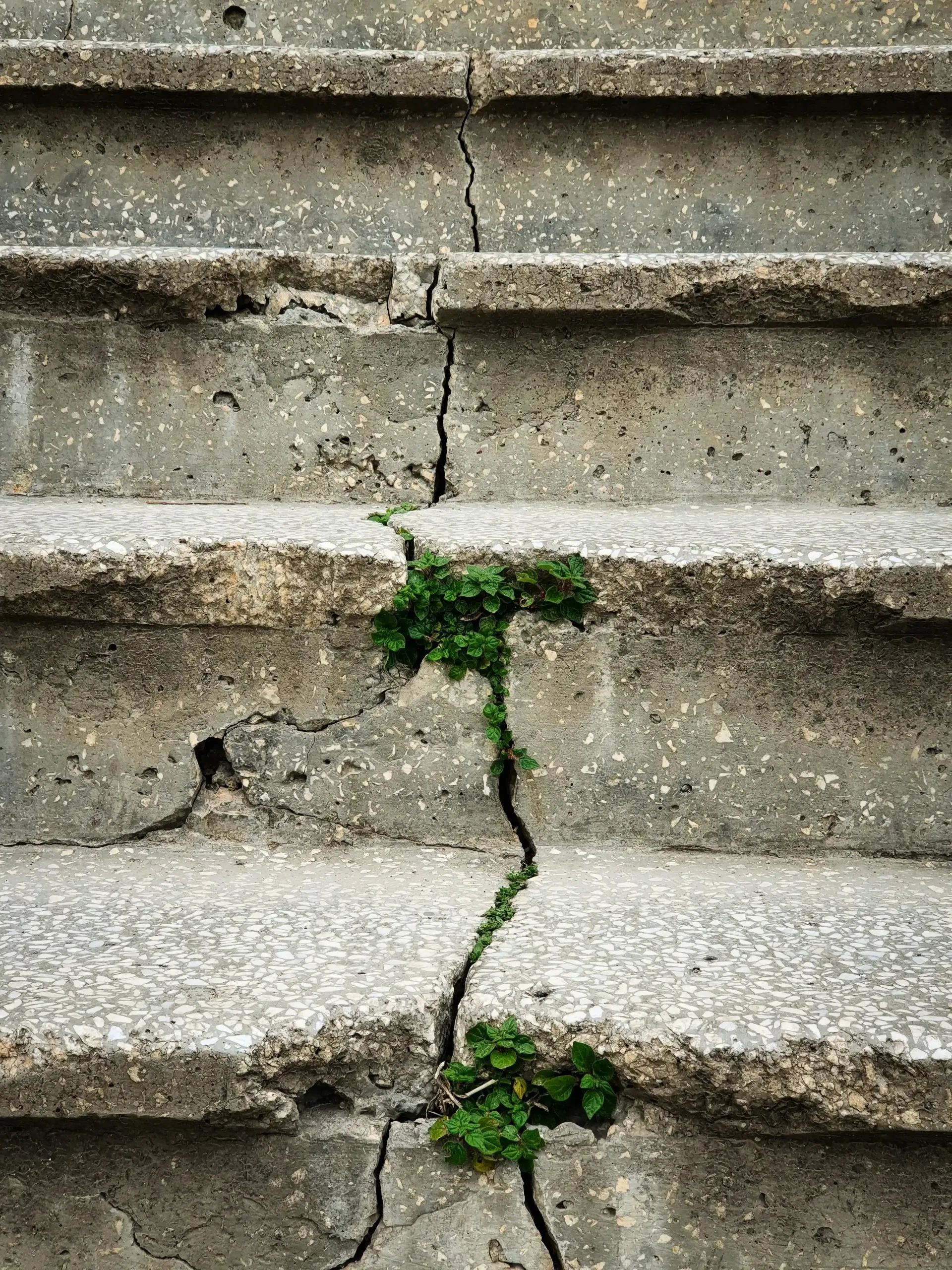 Cracked concrete steps with green weeds growing in the gaps