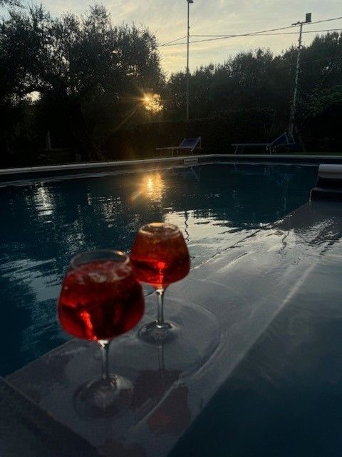 Due drink rossi a bordo piscina al tramonto, con il sole che si riflette sull'acqua.