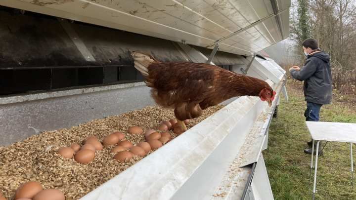 biorganic, traiteur se fournit en circuit court