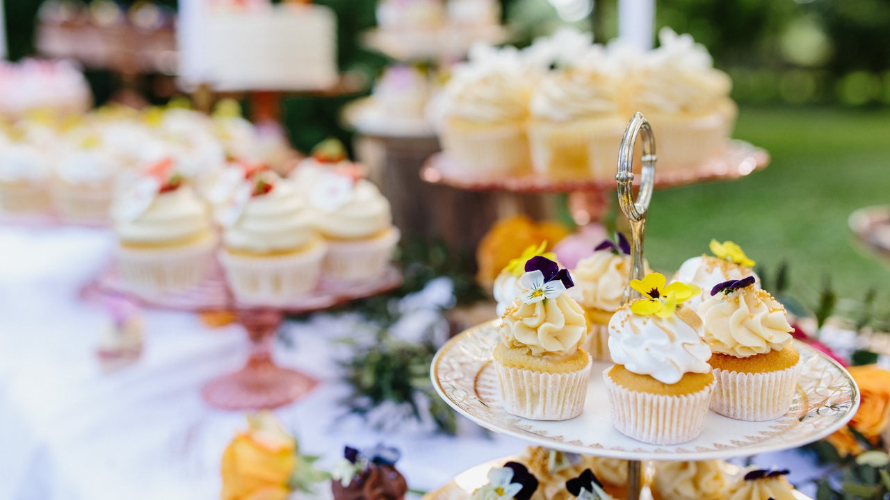 Catering pour event d'entreprise en belgique - biorganic - traiteur bio et écoresponsable
