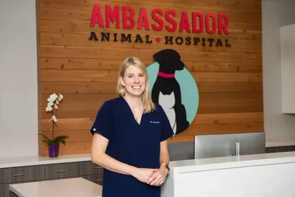Woman in navy scrubs standing at the reception desk of Ambassador Animal Hospital.