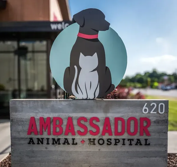 Ambassador Animal Hospital sign with dog logo and address 620