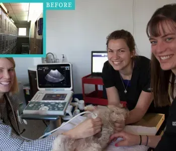 Women at an ultrasound exam in a clinic, with a sonogram monitor and a cat on the table.