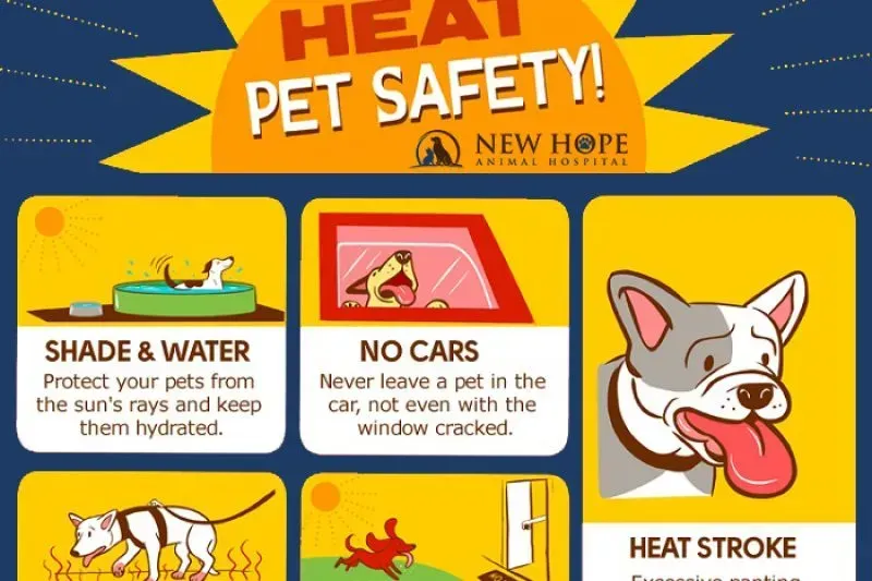 Pet safety poster: keep pets cool, shaded, watered, and never leave them in cars.