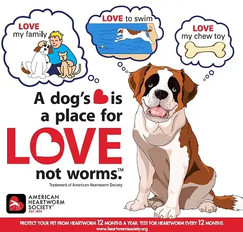 Happy puppy with speech bubbles saying “LOVE my family,” “LOVE to swim,” and “LOVE my chew toy” for a pet heartworm ad