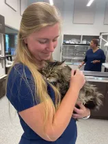 Woman in blue scrubs holding a fluffy cat in a veterinary clinic prep room