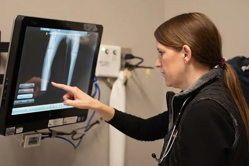 Person points at an X-ray on a medical monitor in a clinic.