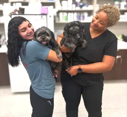 Two people holding small black dogs in a pet store, both smiling.