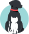 Black and white dog with a pink collar sitting, facing forward on a white background.