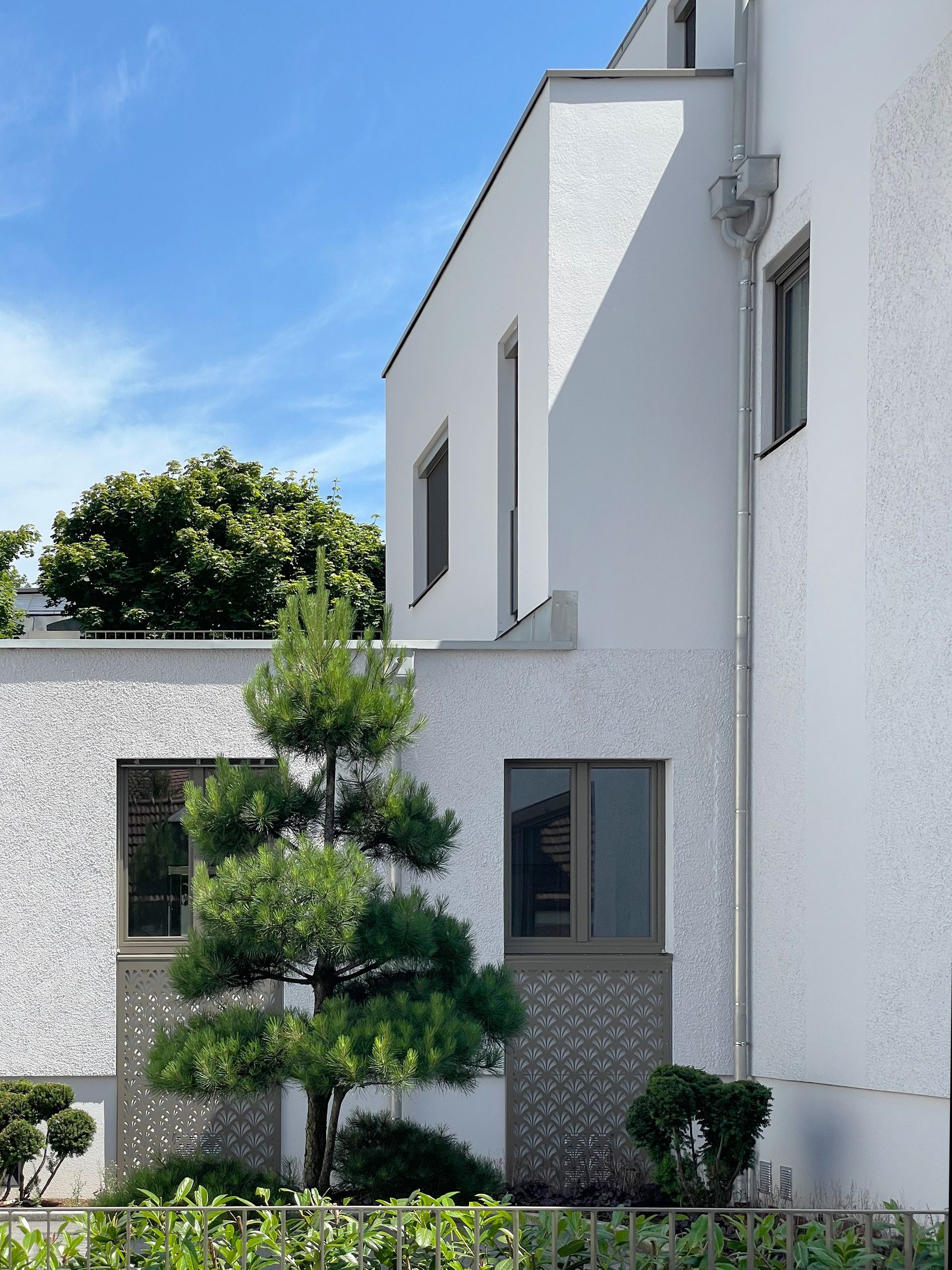 Ein weißes Gebäude mit einem Baum davor