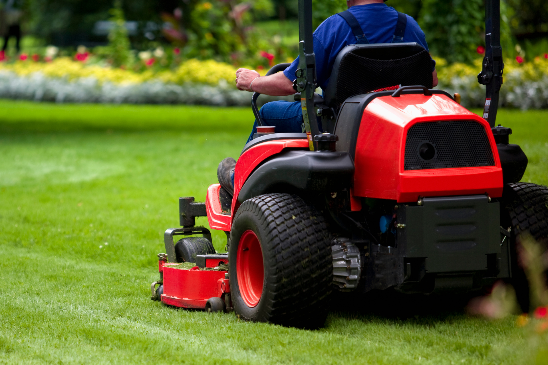 Person on a red riding lawn mower cutting green grass in a yard.