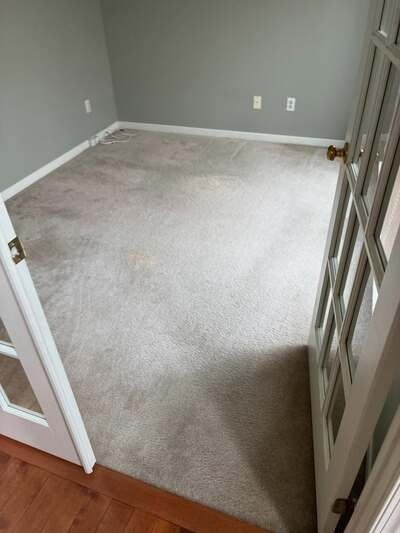 Empty gray-carpeted room with light gray walls and a white door, viewed through an open doorway